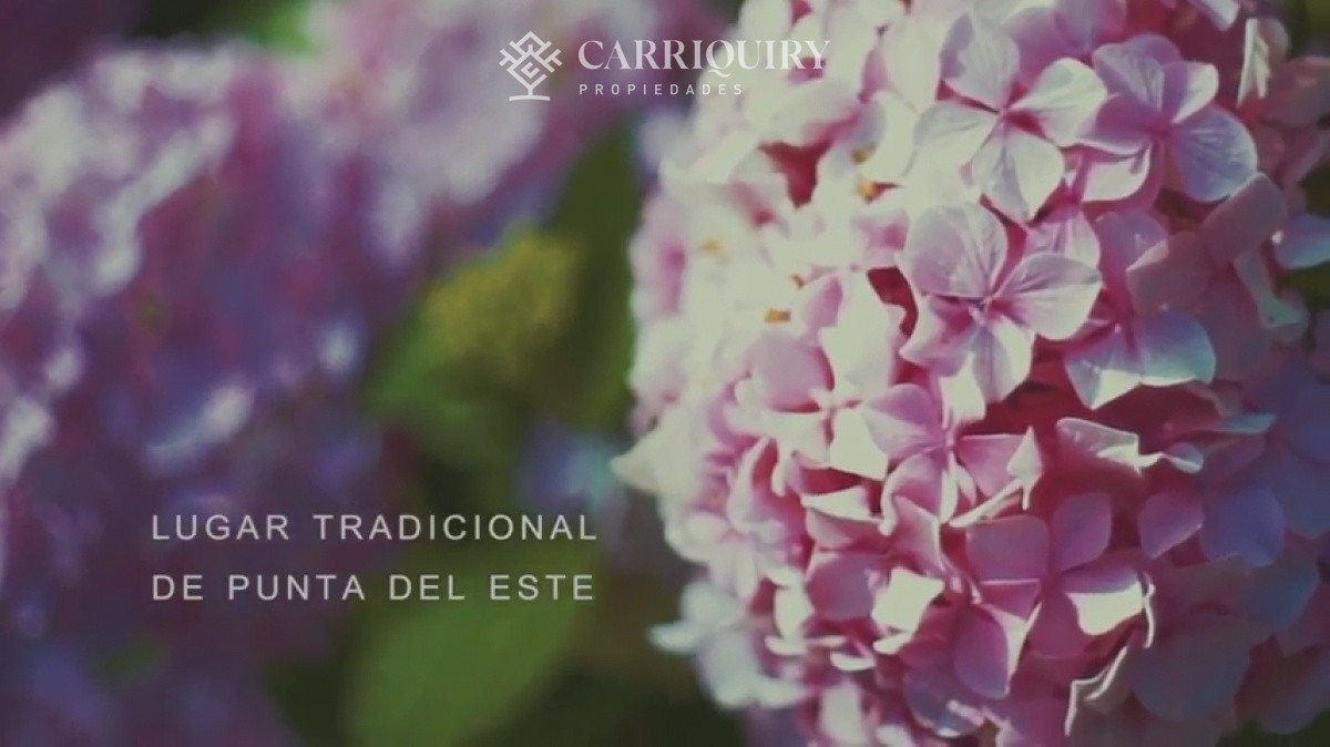 Casa ID.9808/Casa-en-venta-5-dormitorios - Gran chalet tradicional, 3819 metros de Terreno sobre esquina, 9 suites a pocas cuadras del Mar. 