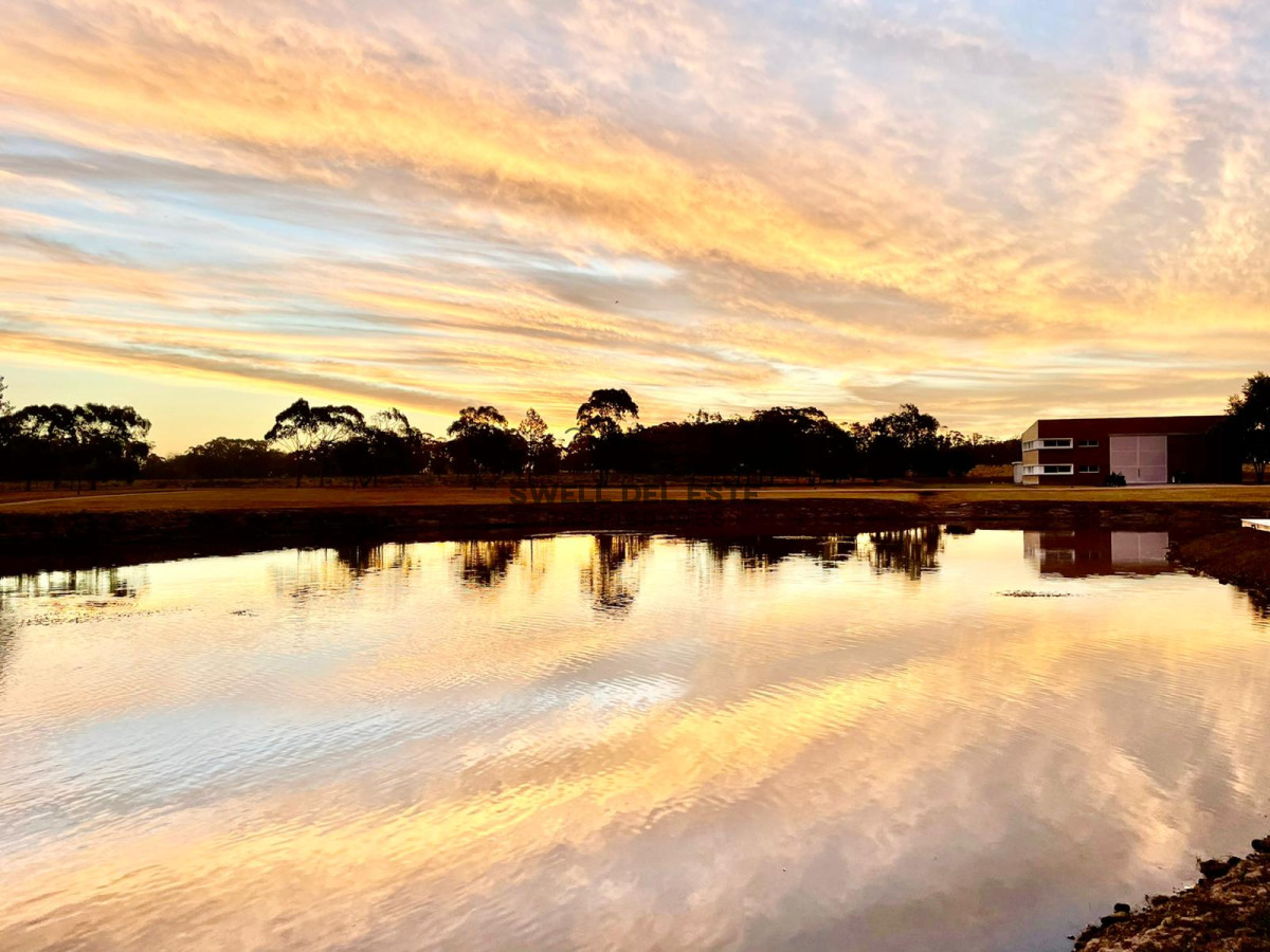 Chacra ID.252 - Espectacular Chacra minimalista Jose Ignacio 