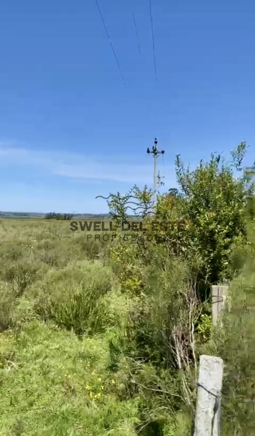 Chacra ID.19 - Hermosa Chacra de 12 hectáreas en ubicación privilegiada a 25 minutos de Punta del Este