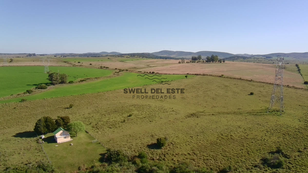 Chacra ID.25 - ¡Oportunidad a 4 km de ruta 39 en las Cañas! 2 Chacras de 7 Hectáreas con monte de Eucalipto 