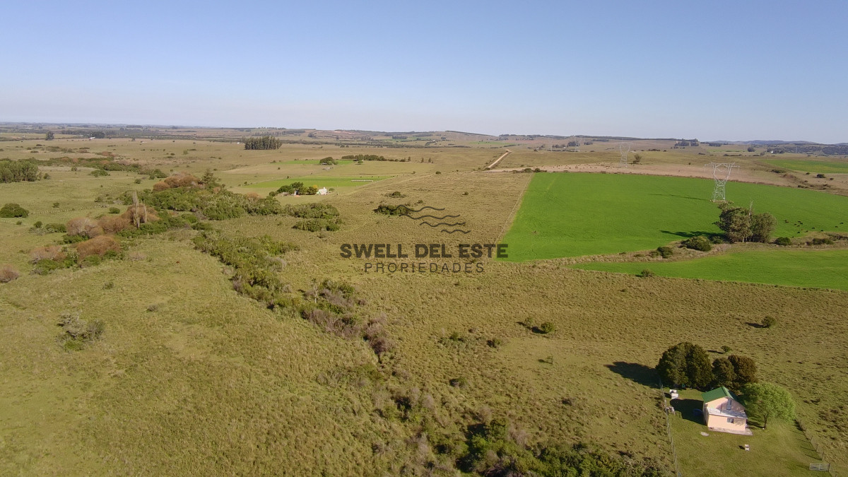 Chacra ID.25 - ¡Oportunidad a 4 km de ruta 39 en las Cañas! 2 Chacras de 7 Hectáreas con monte de Eucalipto 