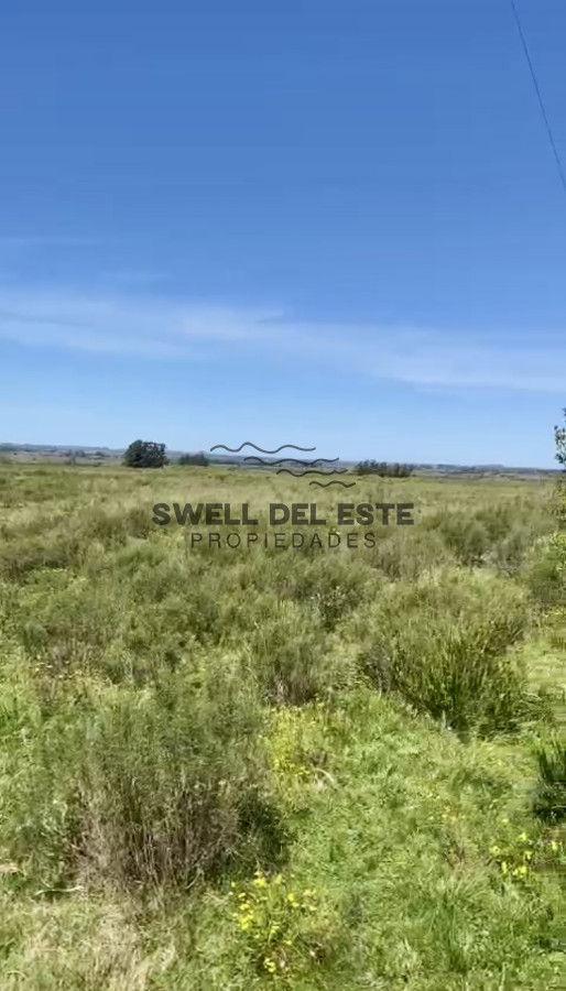 Chacra ID.19 - Hermosa Chacra de 12 hectáreas en ubicación privilegiada a 25 minutos de Punta del Este