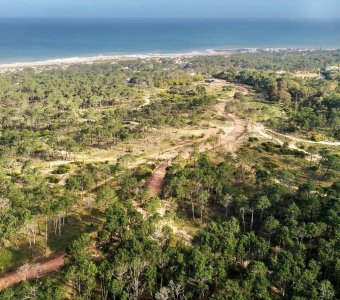  Espectacular Terreno de 1016 m2 en Barrio privado Reserva Montoya - La Barra, a solo 400 metros del mar