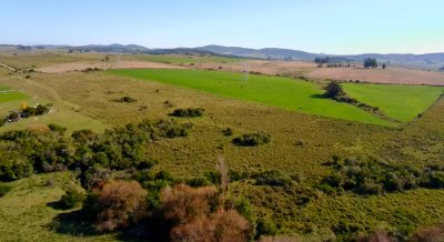 ¡Oportunidad a 4 km de ruta 39 en las Cañas! 2 Chacras de 7 Hectáreas con monte de Eucalipto 
