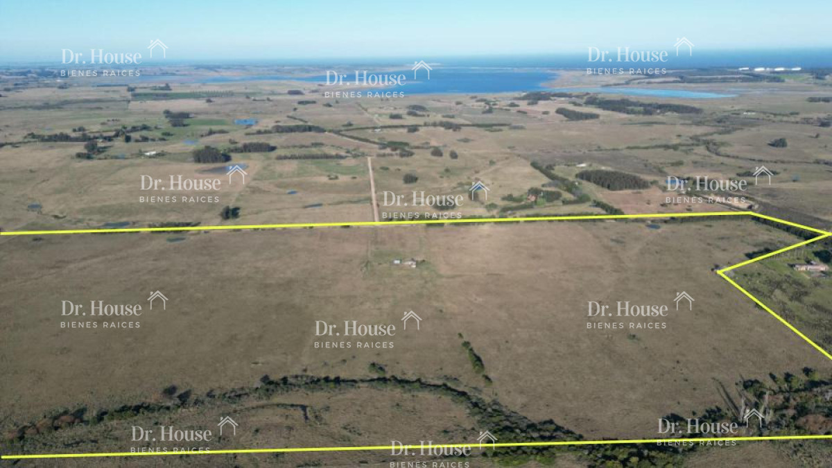 Se vende espectacular campo turístico y productivo de 100 hectáreas en José Ignacio - DRH1812P