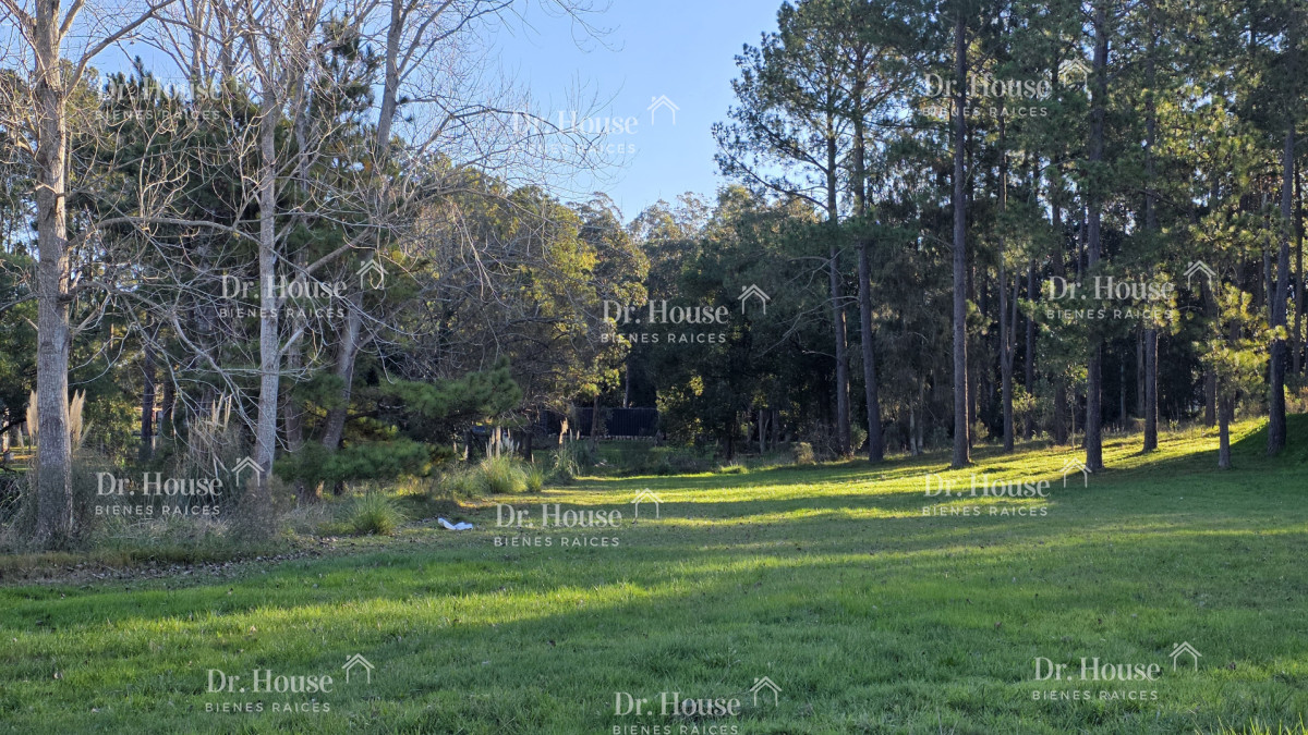 Hermoso terreno en Maldonado 2300m sobre calle principal y área verde  - DRH2230T