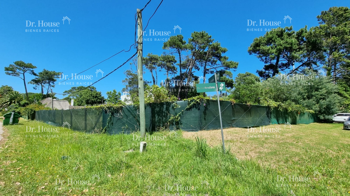 Excelente Terreno de 2050 m2 en Rincón del Indio a 300 metros del Mar! - DRH1043T