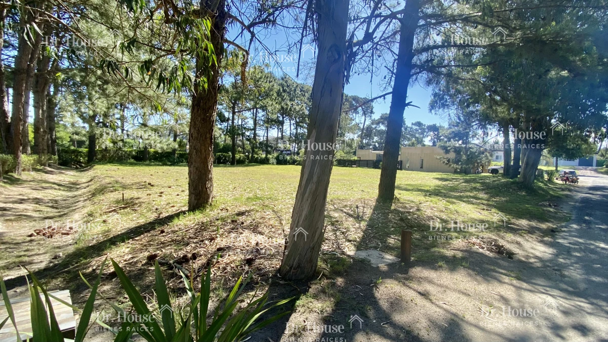 2 muy lindos Terrenos de 630 m2 , en La Residence - Punta del Este  - DRH1453T