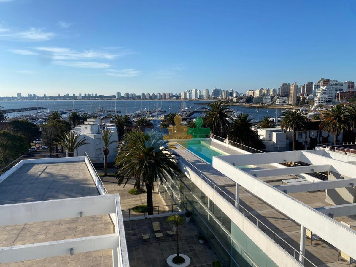 Puerto - GoPunta - Portal Inmobiliario de Punta del Este - Maldonado