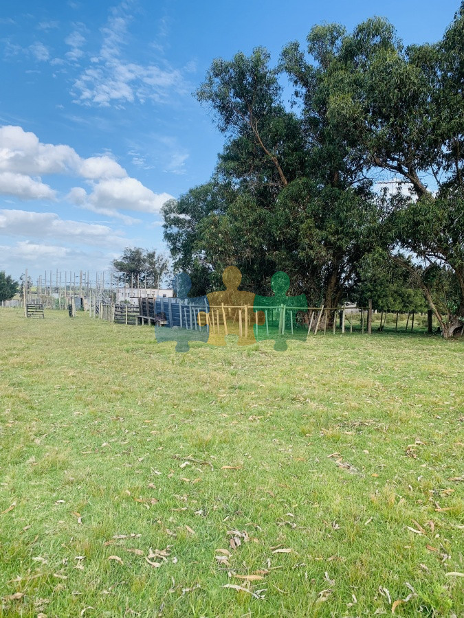 Camino de los Ceibos - GoPunta - Portal Inmobiliario de Punta del Este - Maldonado
