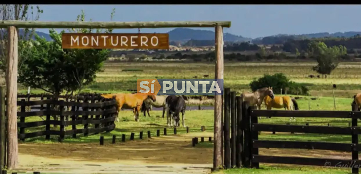 Chacra ID.10697 - Chacra En Venta, El Quijote La Barra.