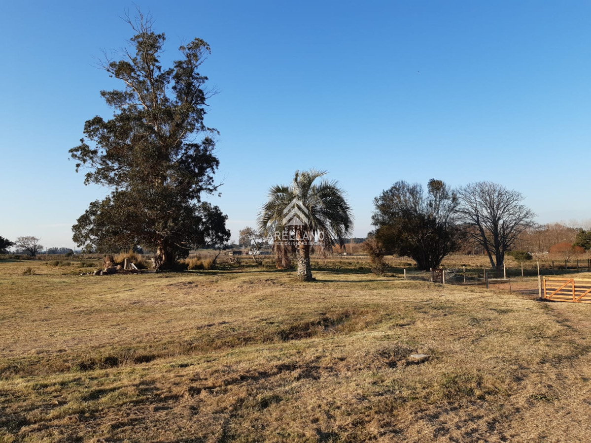 Chacra ID.2104 - Chacra en Venta, camino a las rosas, Maldonado