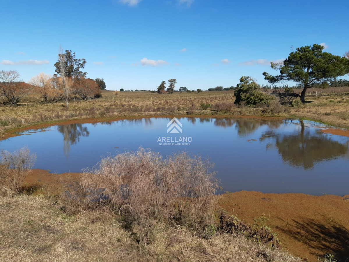 Chacra ID.2104 - Chacra en Venta, camino a las rosas, Maldonado