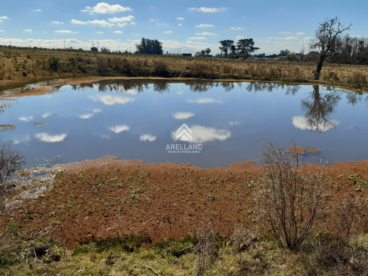 Chacra ID.2104 - Chacra en Venta, camino a las rosas, Maldonado