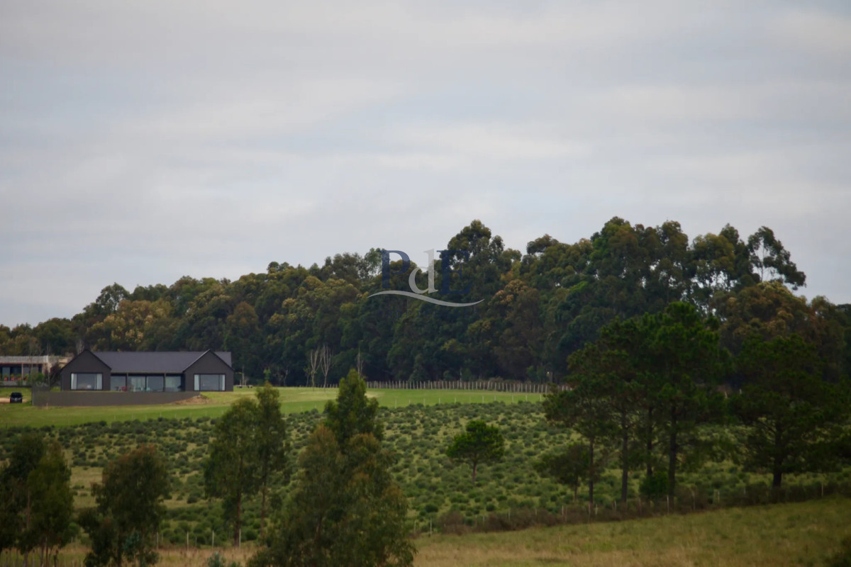 Importante residencia 3 suites + buhardilla, con vistas abiertas al campo. - Imagen 1