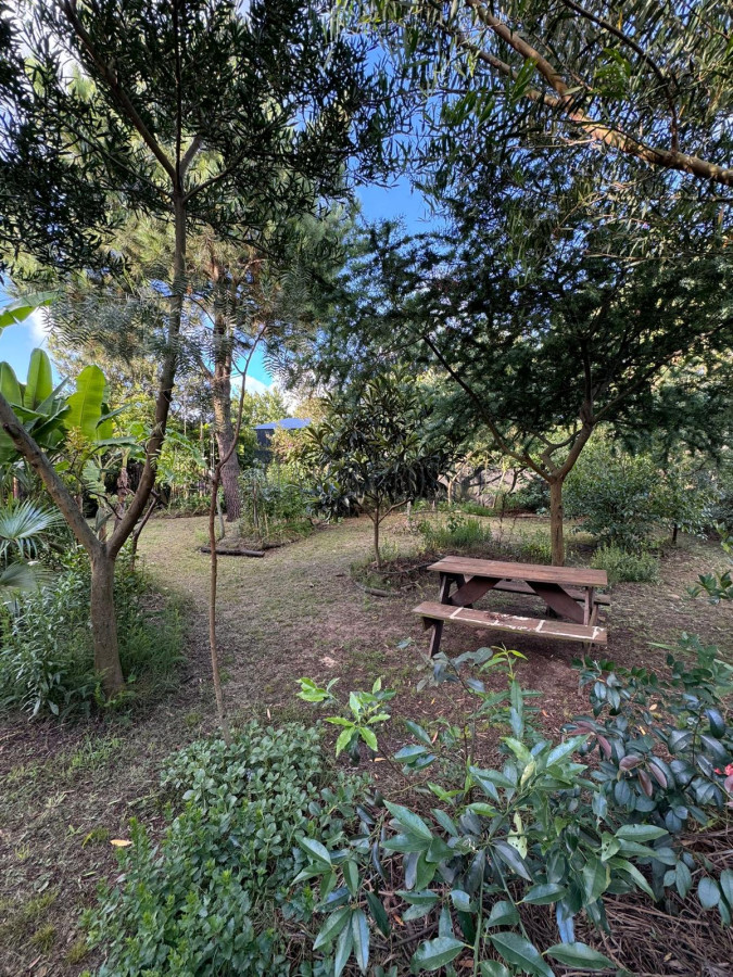 Casa ID.349 - Casa en alquiler de verano - 4 dormitorios La Barra