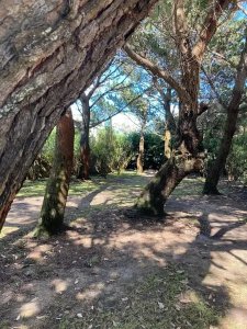 casa en alquiler anual, sauce de portezuelo. - vlx5279c