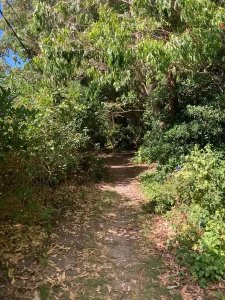 casa en alquiler anual, sauce de portezuelo. - vlx5279c