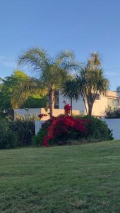 Casa en venta y alquiler anual, Marly Punta Del Este.