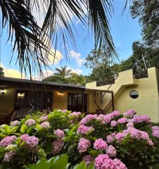 Casa en venta y alquiler temporal - Pinares 3 dormitorios + Dep.