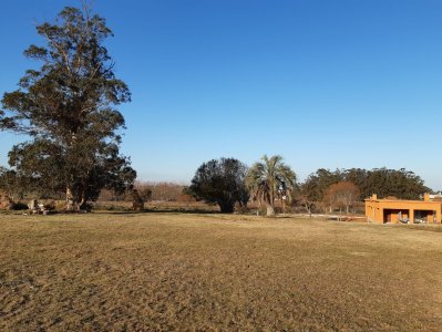 chacra en venta, camino las rosas, maldonado - vlx4283h