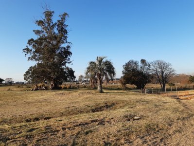 chacra en venta, camino las rosas, maldonado - vlx4283h