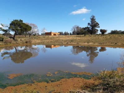 chacra en venta, camino las rosas, maldonado - vlx4283h