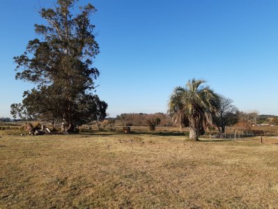 chacra en venta, camino las rosas, maldonado - vlx4283h