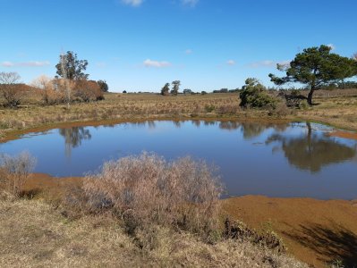 chacra en venta, camino las rosas, maldonado - vlx4283h