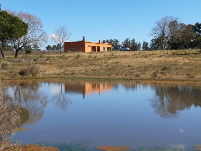 chacra en venta, camino las rosas, maldonado - vlx4283h