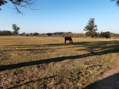 chacra en venta, camino las rosas, maldonado - vlx4283h