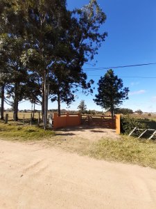 chacra en venta, camino las rosas, maldonado - vlx4283h