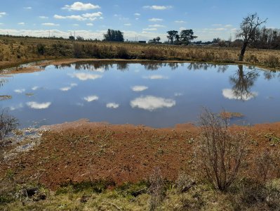 chacra en venta, camino las rosas, maldonado - vlx4283h