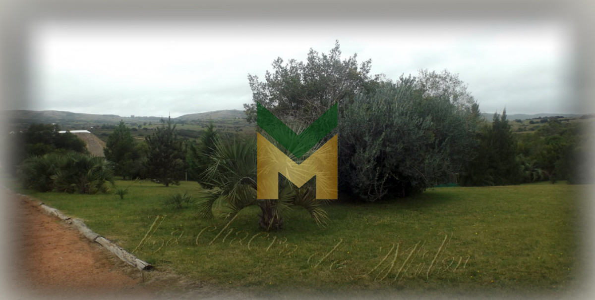 Chacra ID.1651 - Chacra en venta, Las cañas , San Carlos 