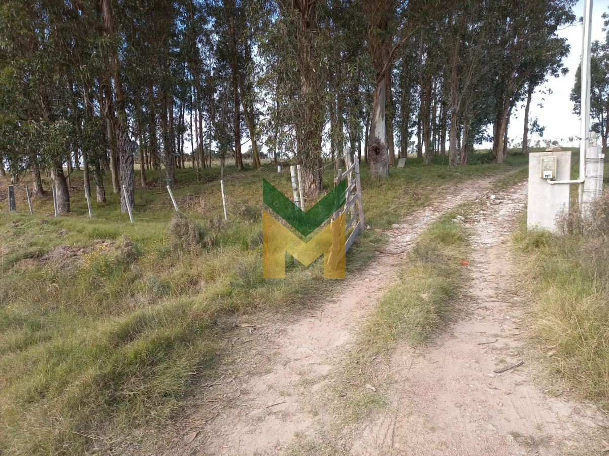 Chacra ID.2061 - Chacra en venta , San Carlos , Maldonado 