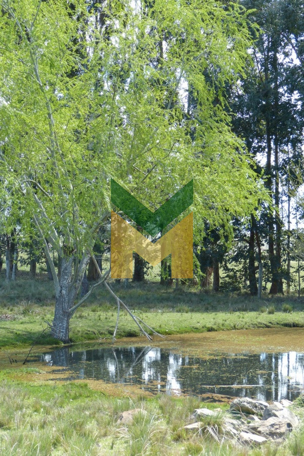 Chacra ID.1067 - Chacras en Venta, a 10 minutos de San Carlos, zona Cañada Bellaca, Maldonado