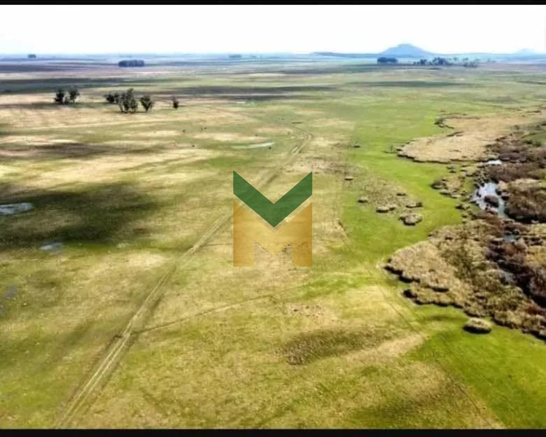 Campo Ref.5633 - Campo Ganadero Agricola y Forestal, en Venta, Departamento de Rivera, limite con tacuarembo