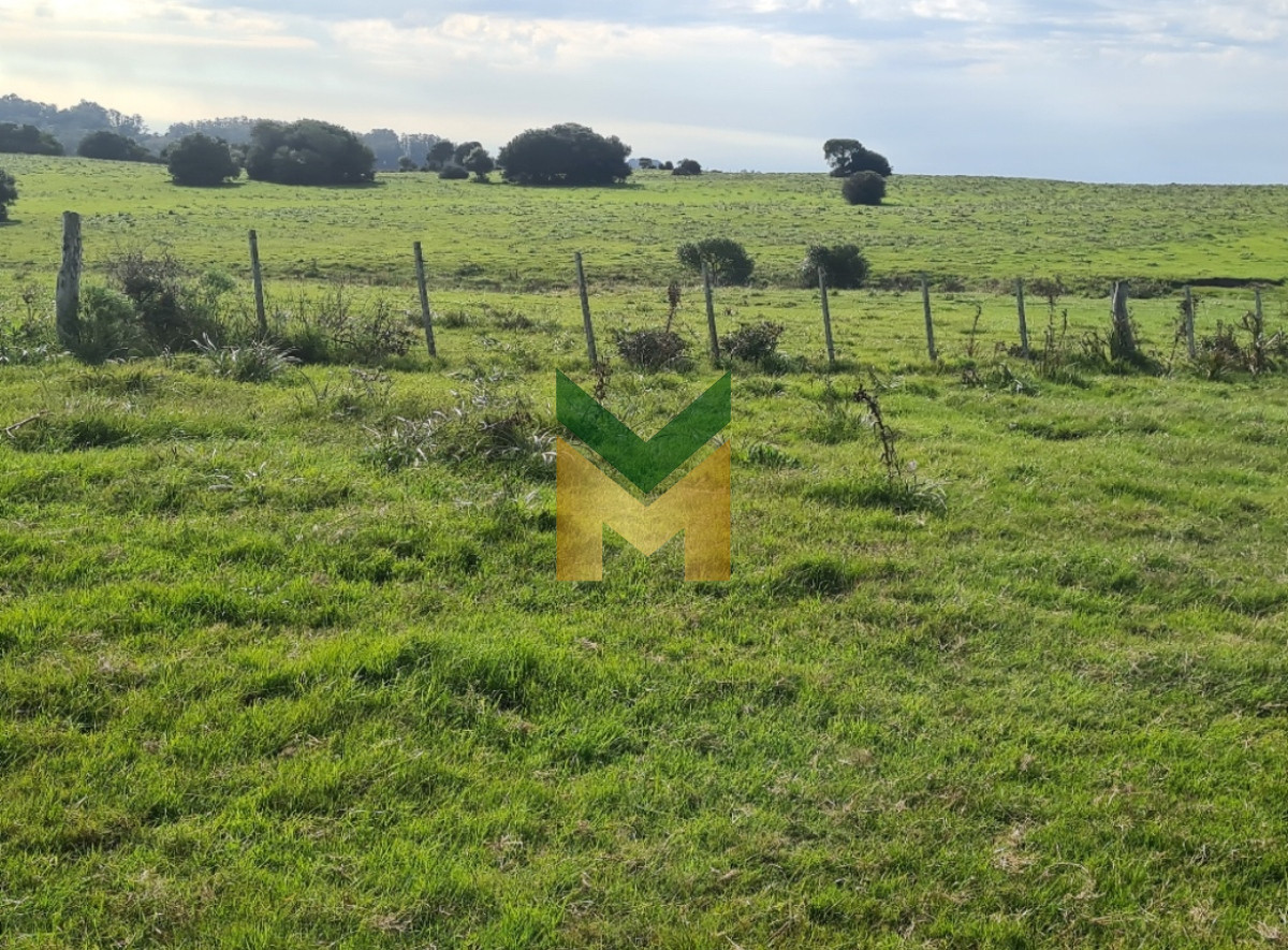 Campo Ref.5369 - Importante campo con Casco de 250 metros disponible en Venta , a 20 km de Rocha