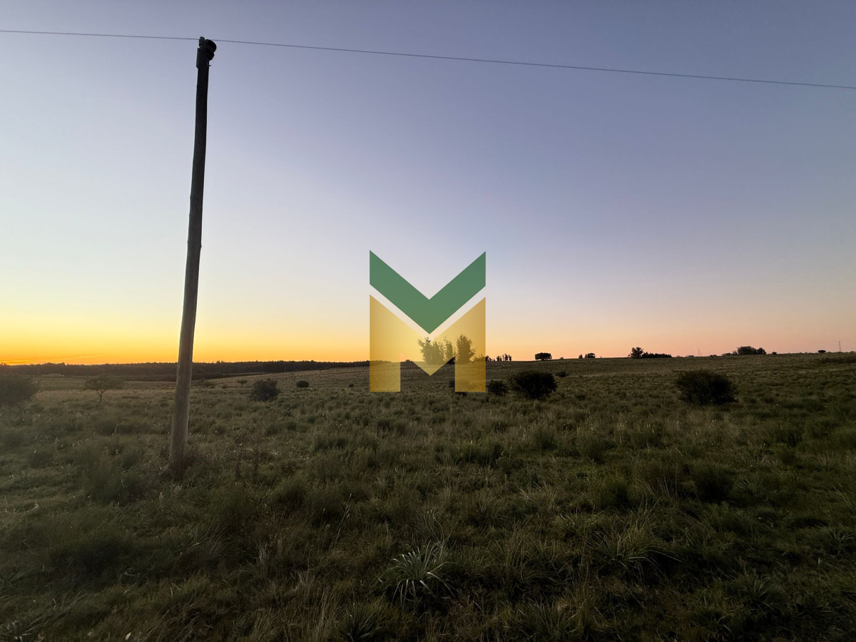 Campo Ref.6405 - Chacra en venta - 15 Hectáreas San Carlos 