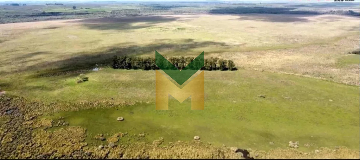 Campo Ref.5633 - Campo Ganadero Agricola y Forestal, en Venta, Departamento de Rivera, limite con tacuarembo