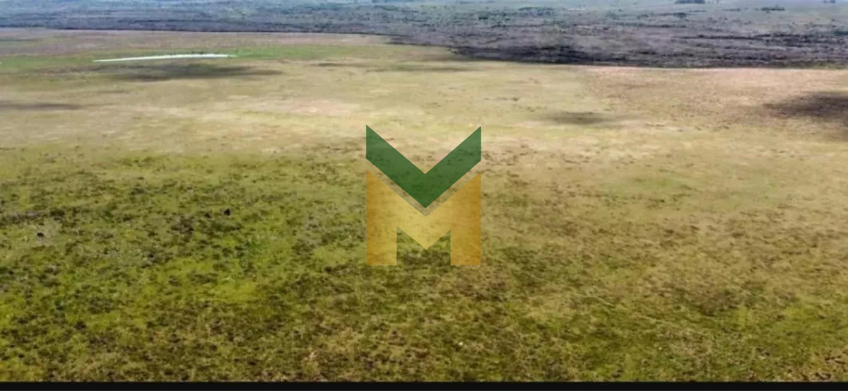 Campo Ref.5633 - Campo Ganadero Agricola y Forestal, en Venta, Departamento de Rivera, limite con tacuarembo