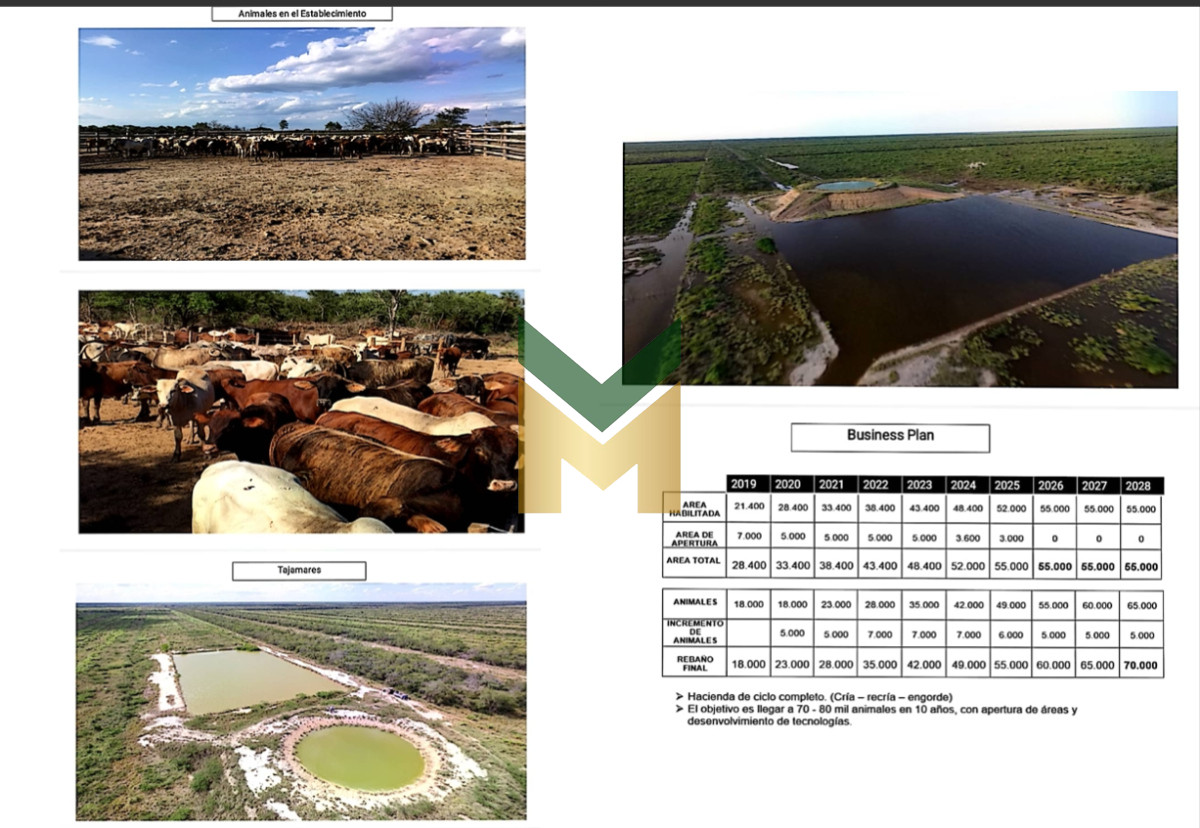 Campo Ref.6593 - 2 Campos en venta - Fuerte Olimpo Paraguay 