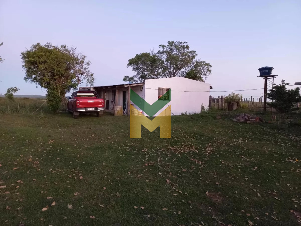 Campo Ref.5633 - Campo Ganadero Agricola y Forestal, en Venta, Departamento de Rivera, limite con tacuarembo