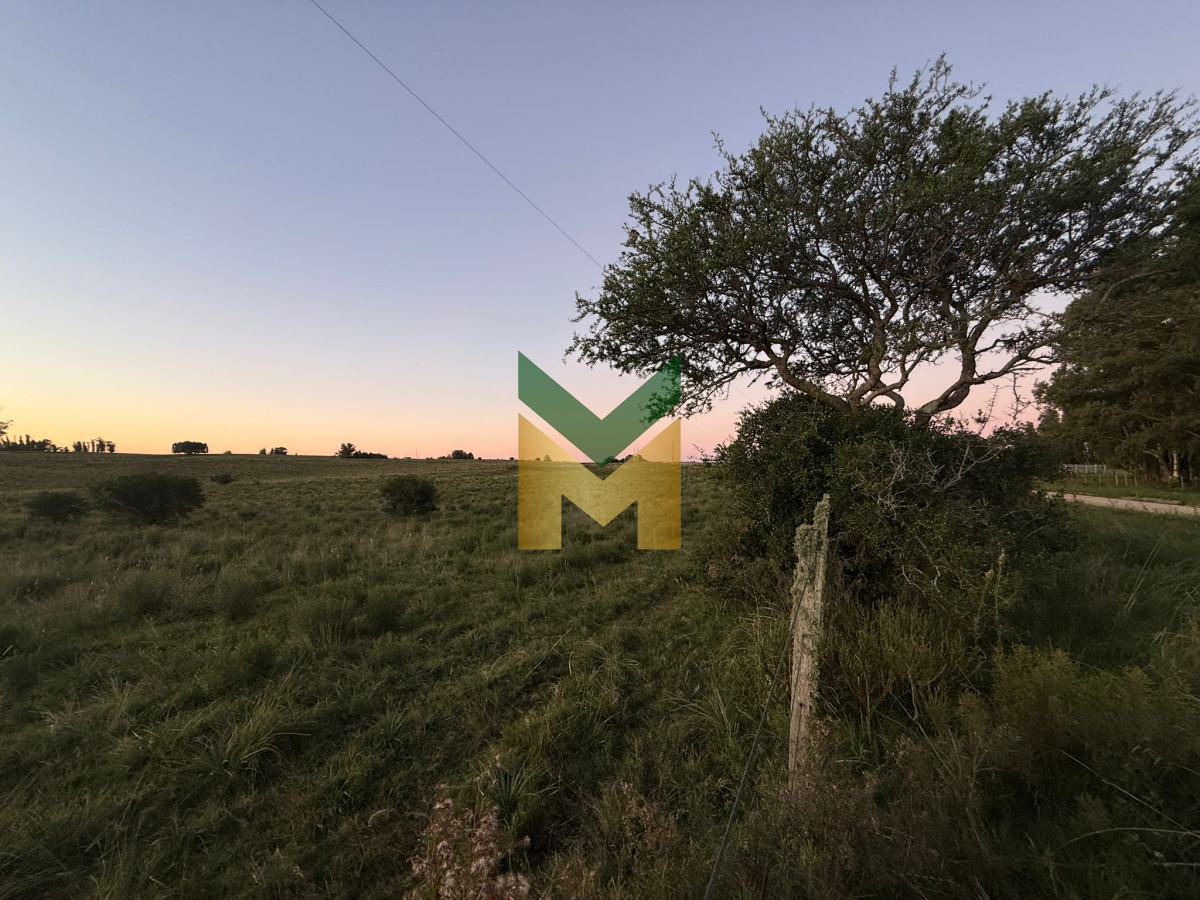 Campo Ref.6405 - Chacra en venta - 15 Hectáreas San Carlos 