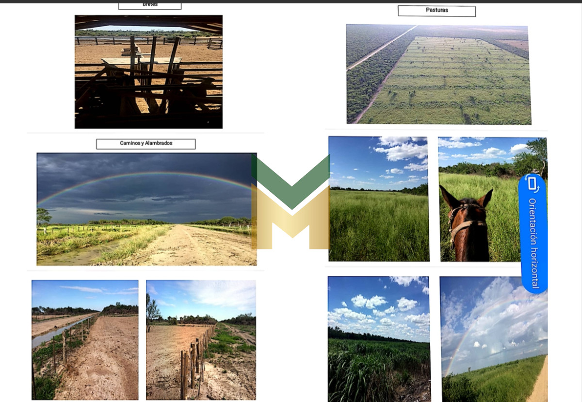 Campo Ref.6592 - Campo en venta - Paraguay
