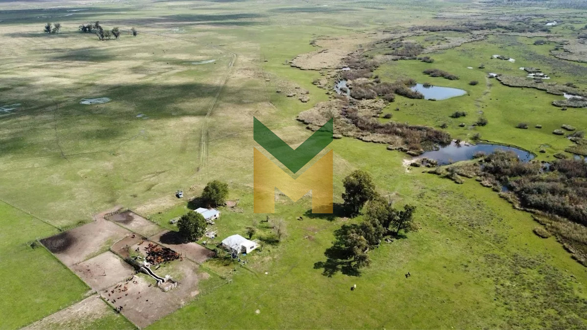 Campo Ref.5633 - Campo Ganadero Agricola y Forestal, en Venta, Departamento de Rivera, limite con tacuarembo