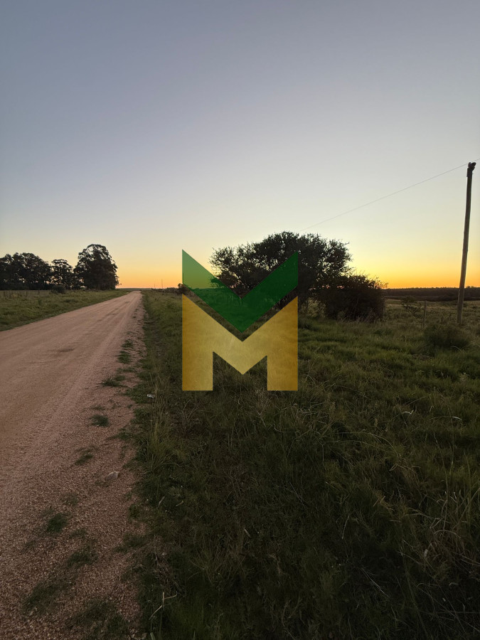 Campo Ref.6405 - Chacra en venta - 15 Hectáreas San Carlos 