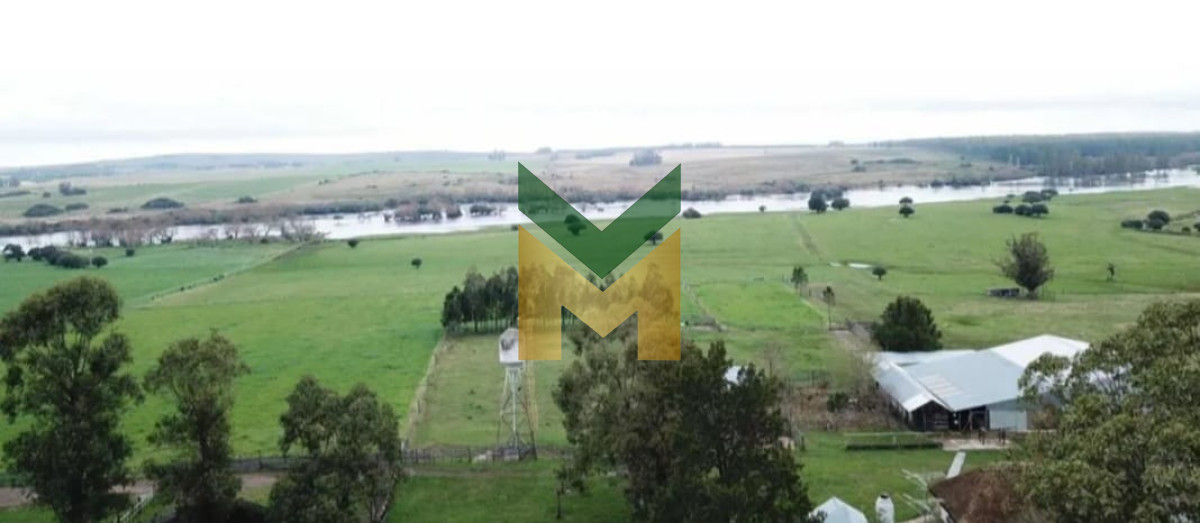 Campo Ref.3157 - Campo en venta, pueblo eden, Maldonado