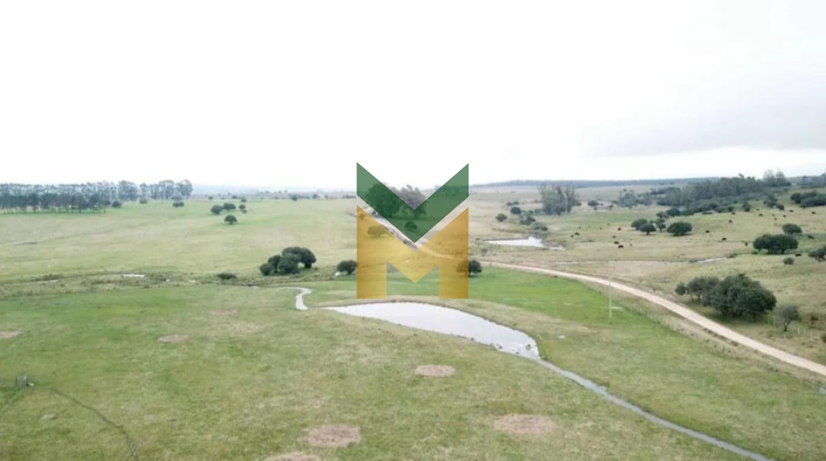 Campo Ref.3157 - Campo en venta, pueblo eden, Maldonado