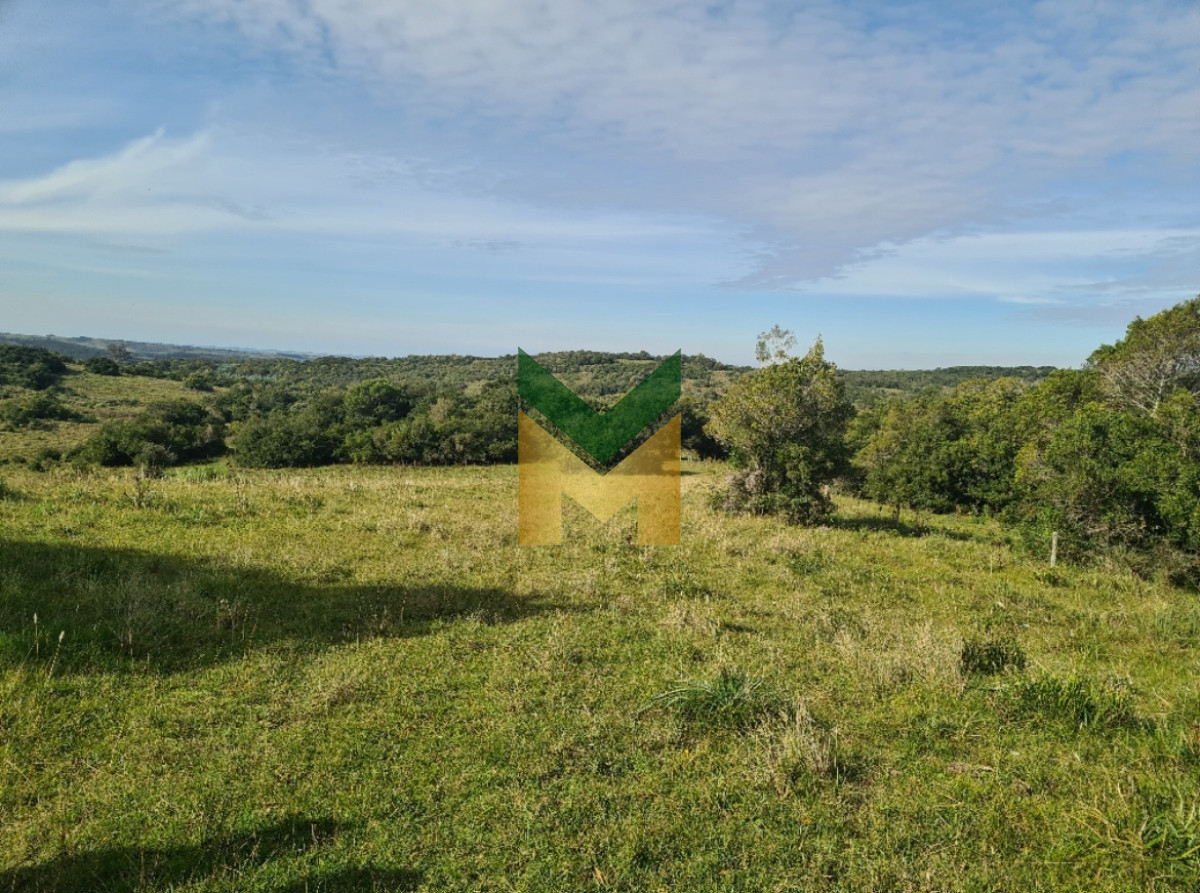 Campo Ref.5369 - Importante campo con Casco de 250 metros disponible en Venta , a 20 km de Rocha